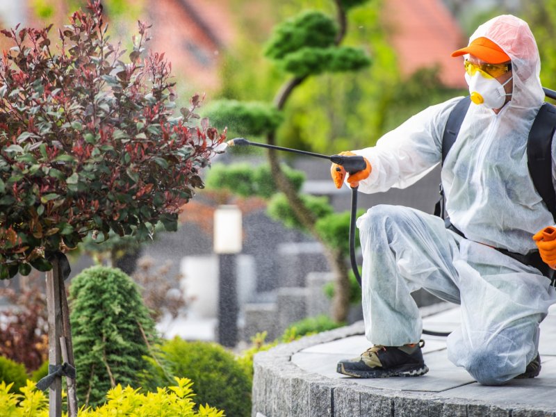 Ardıç Haşere İlaçlama